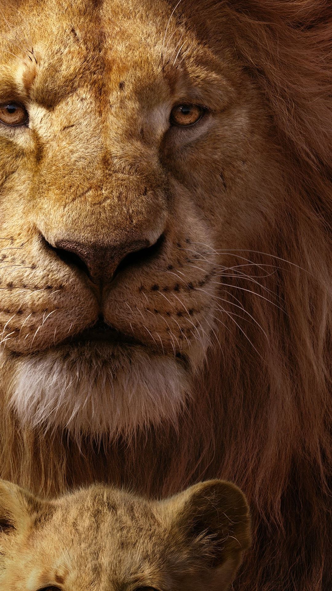 The Lion King 2019 Mufasa Simba 8k Lion King 2019. iPhone Wallpaper Free Download