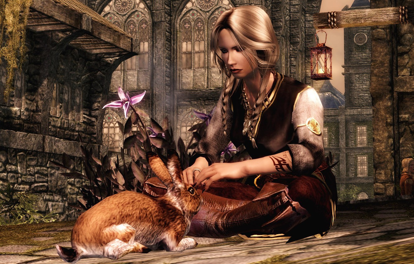 Wallpaper girl, hare, warrior, skyrim, the elder scrolls v image for desktop, section игры