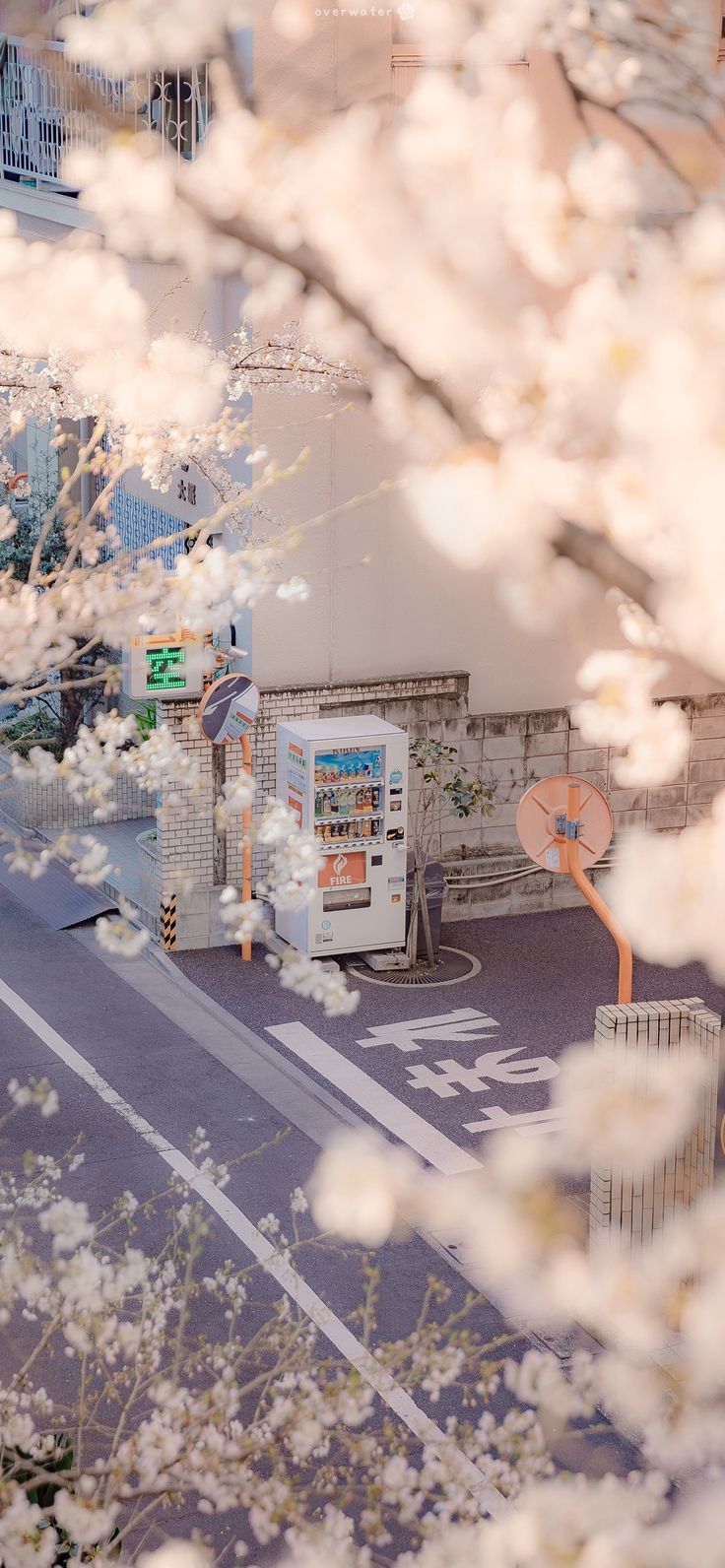 Sakura Airi, vending machine, Japan, vertical, portrait displayx2688 Wallpaper.cc. Scenery wallpaper, Anime scenery wallpaper, Korea wallpaper
