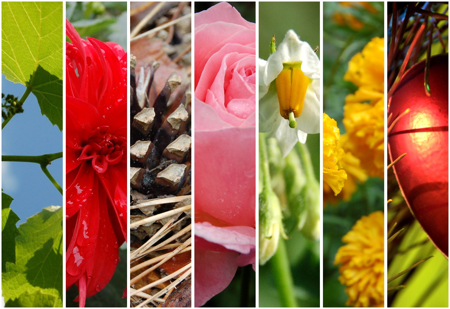 Make photo collage online