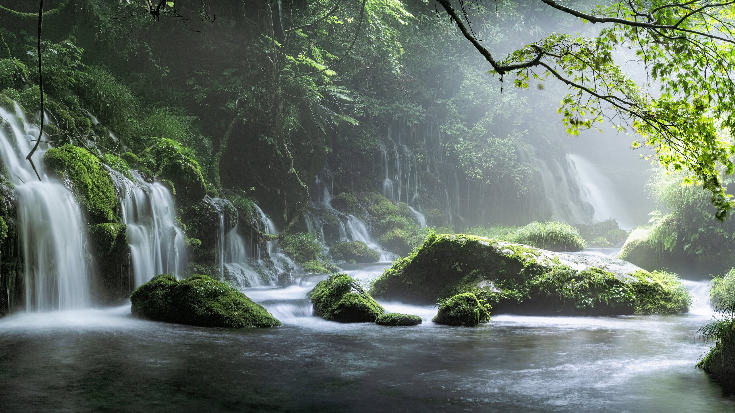 Spring Waterfall Stone Fog Mist Green Forest 8k 1440P Resolution HD 4k Wallpaper, Image, Background, Photo and Picture