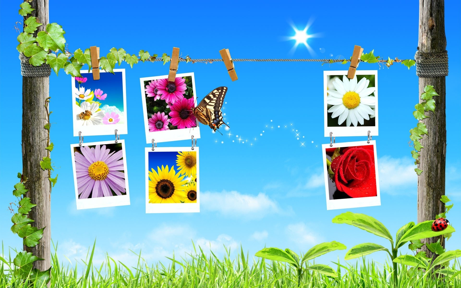 Spring Collage Wallpaper Spring Nature Wallpaper