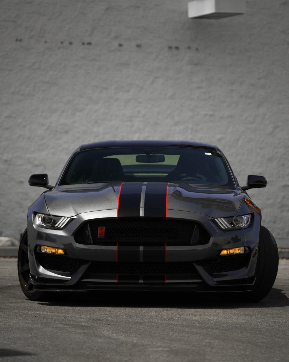 Mustang Picture [HD]. Download Free Image
