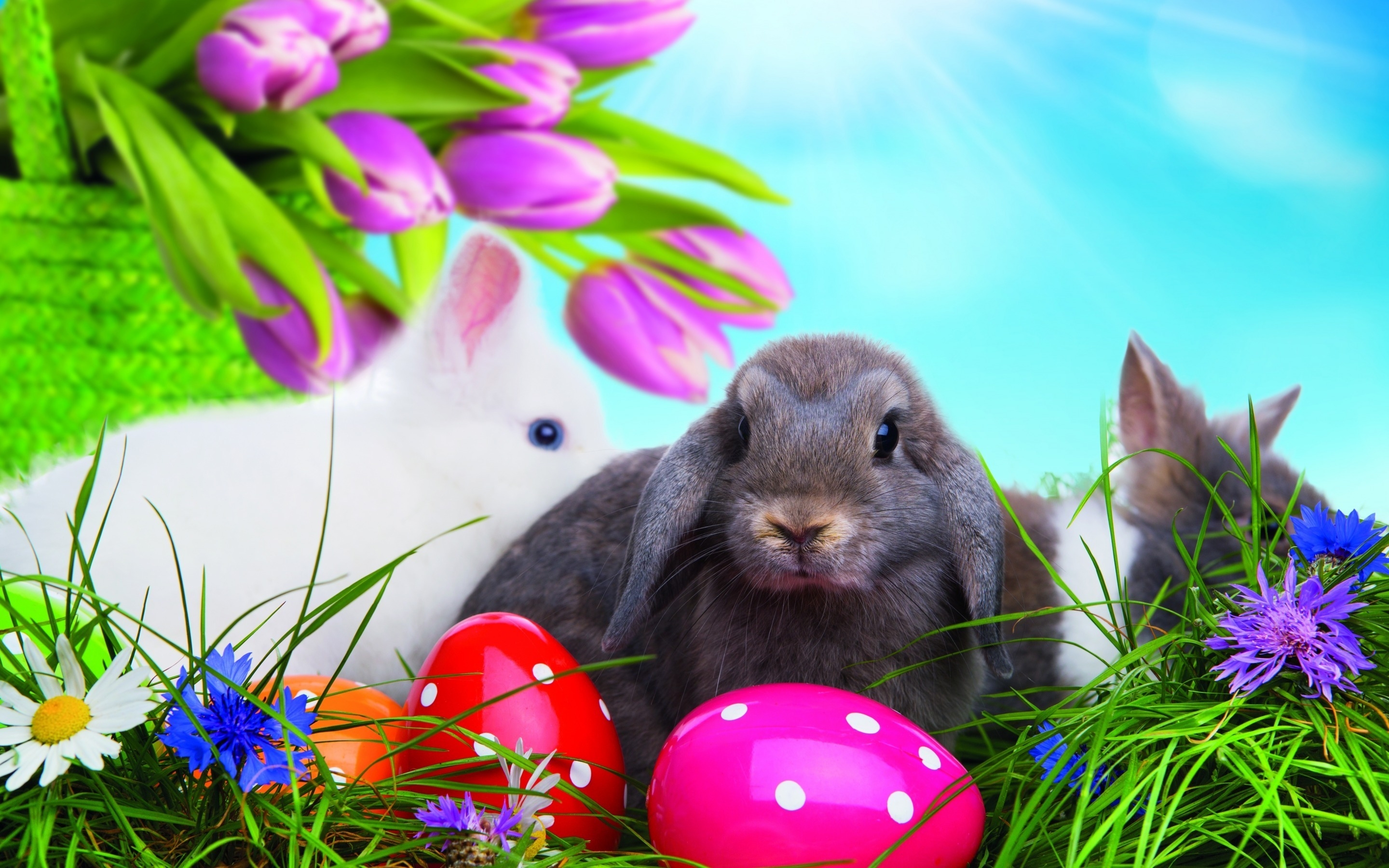 Desktop Wallpaper Easter