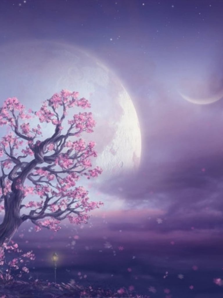 Free download Pink Tree Moon Purple Sky wallpaper Pink Tree Moon Purple Sky [1920x1200] for your Desktop, Mobile & Tablet. Explore Pink Tree Wallpaper. Pink Christmas Tree Wallpaper