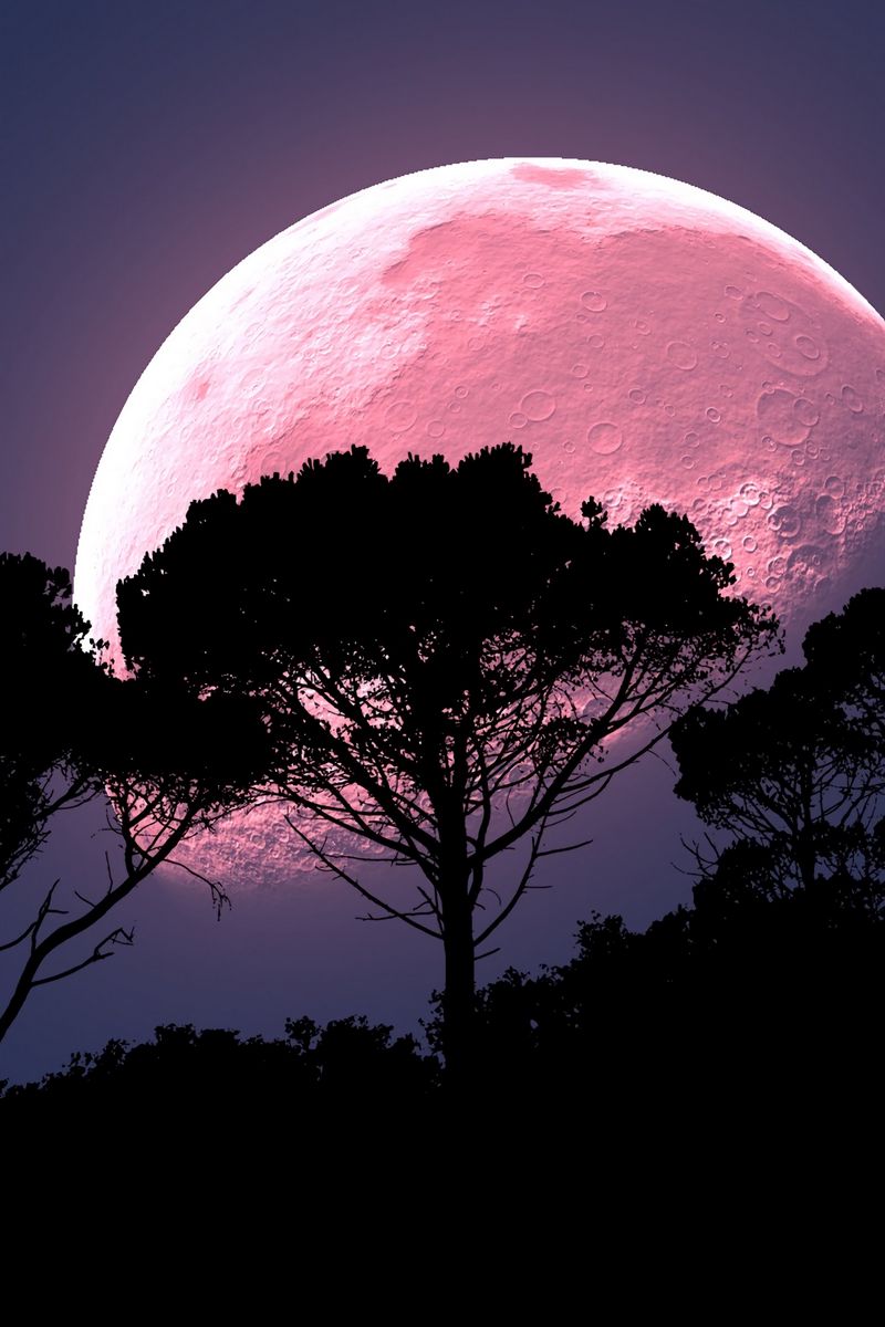 Download Wallpaper 800x1200 Moon, Tree, Photohop, Night, Full Moon, Planet Iphone 4s 4 For Parallax HD Background