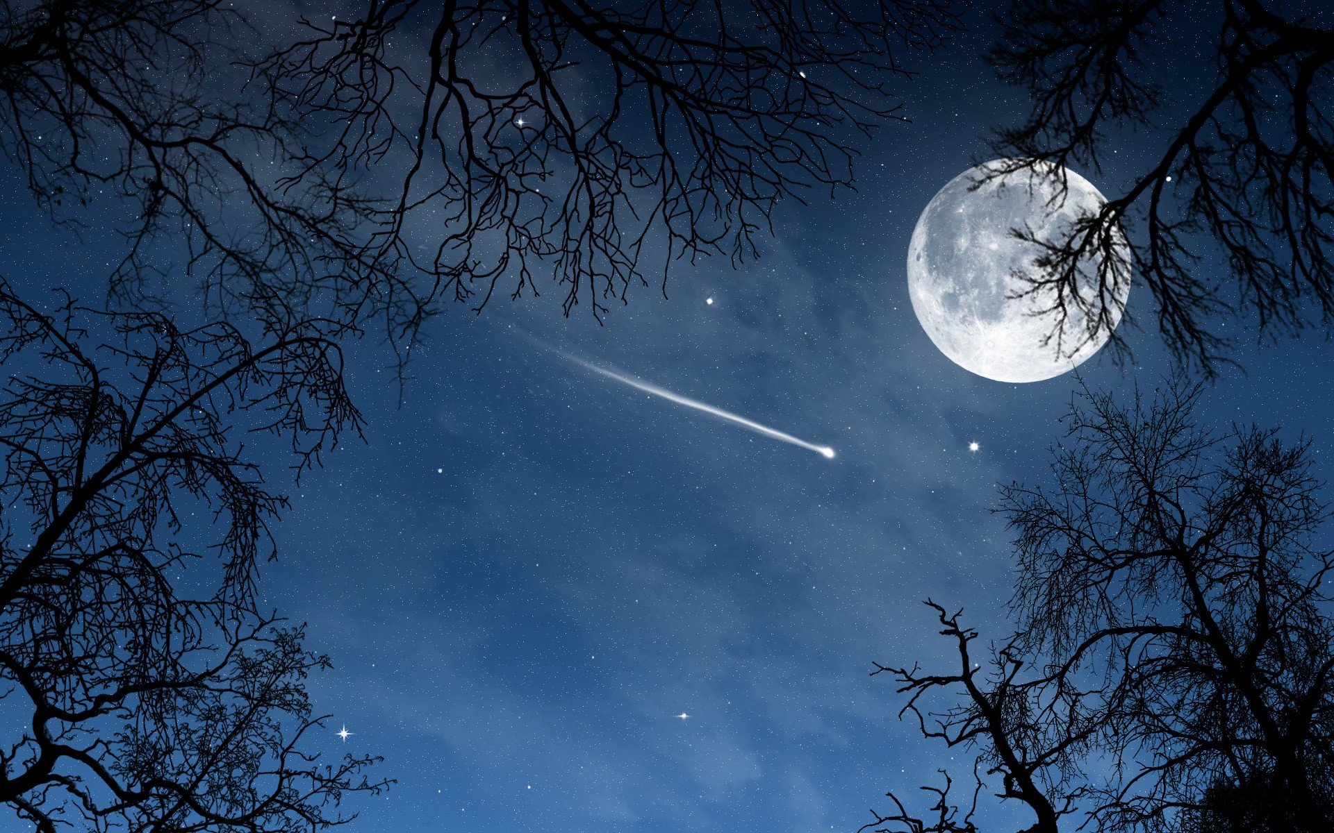 Shooting star, fool moon, tree branches, night wallpaper download. Wallpaper, picture, photo