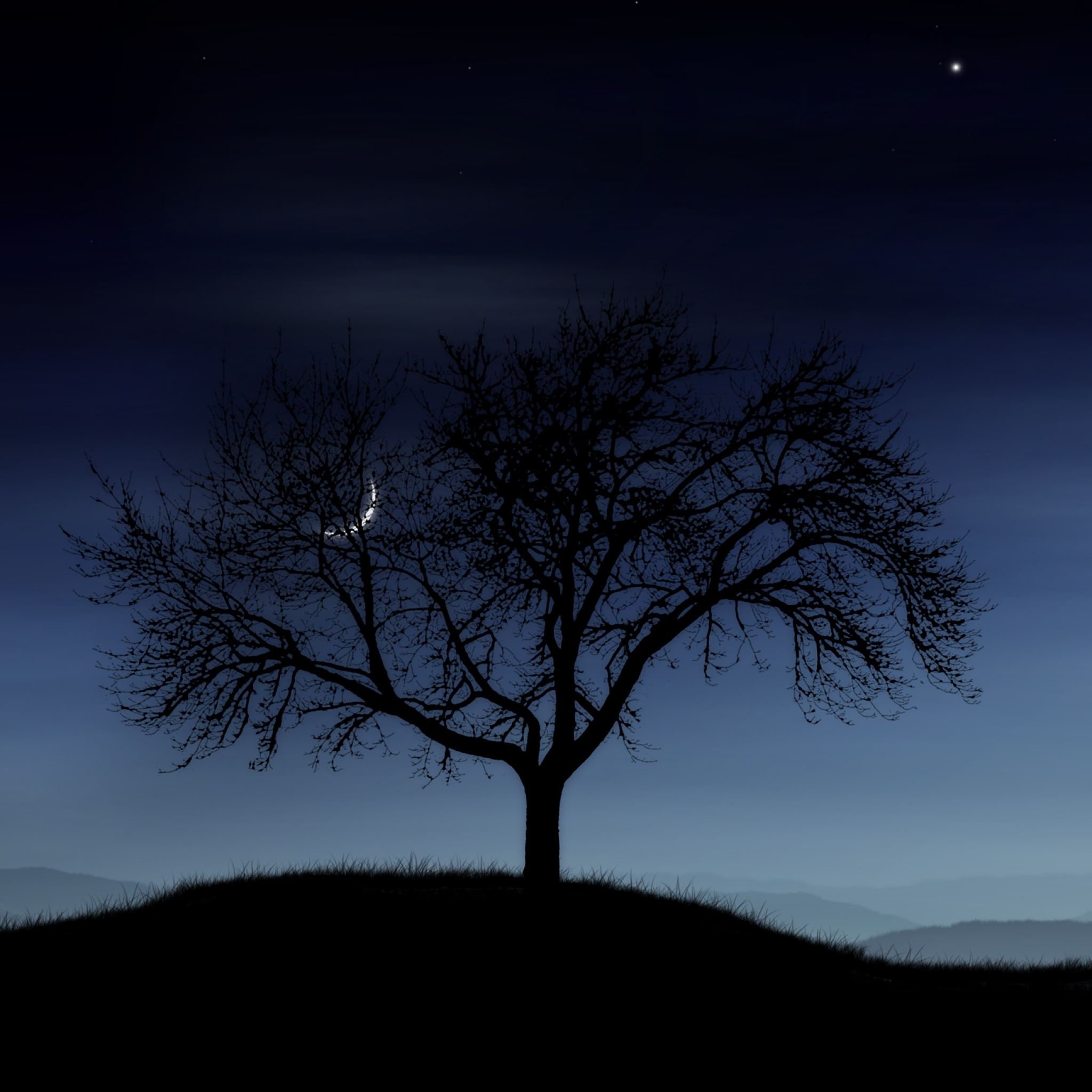 Tree night lonely silhouette stars moon fog iPad Air Wallpaper Free Download