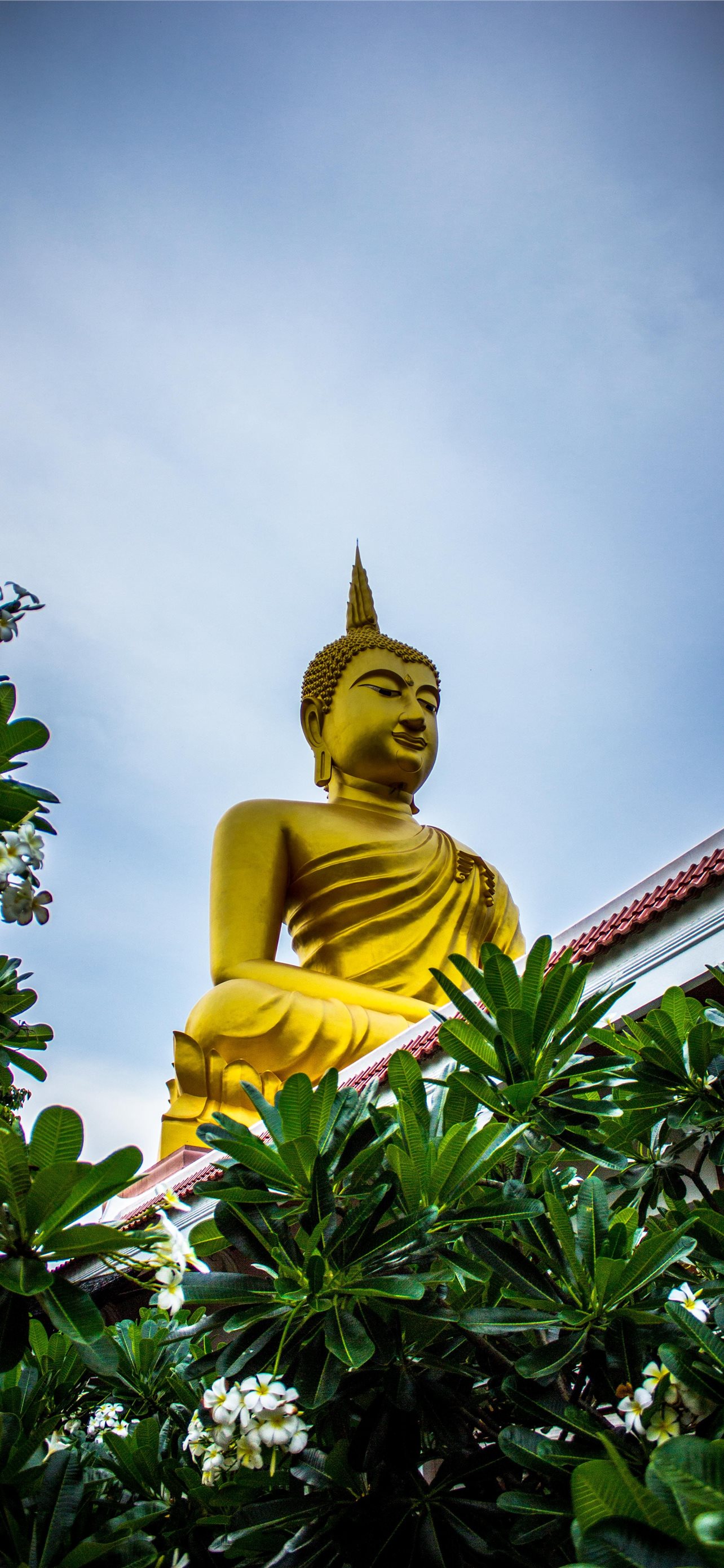 buddha buddhism sculpture statue plants HD backgro. iPhone Wallpaper Free Download