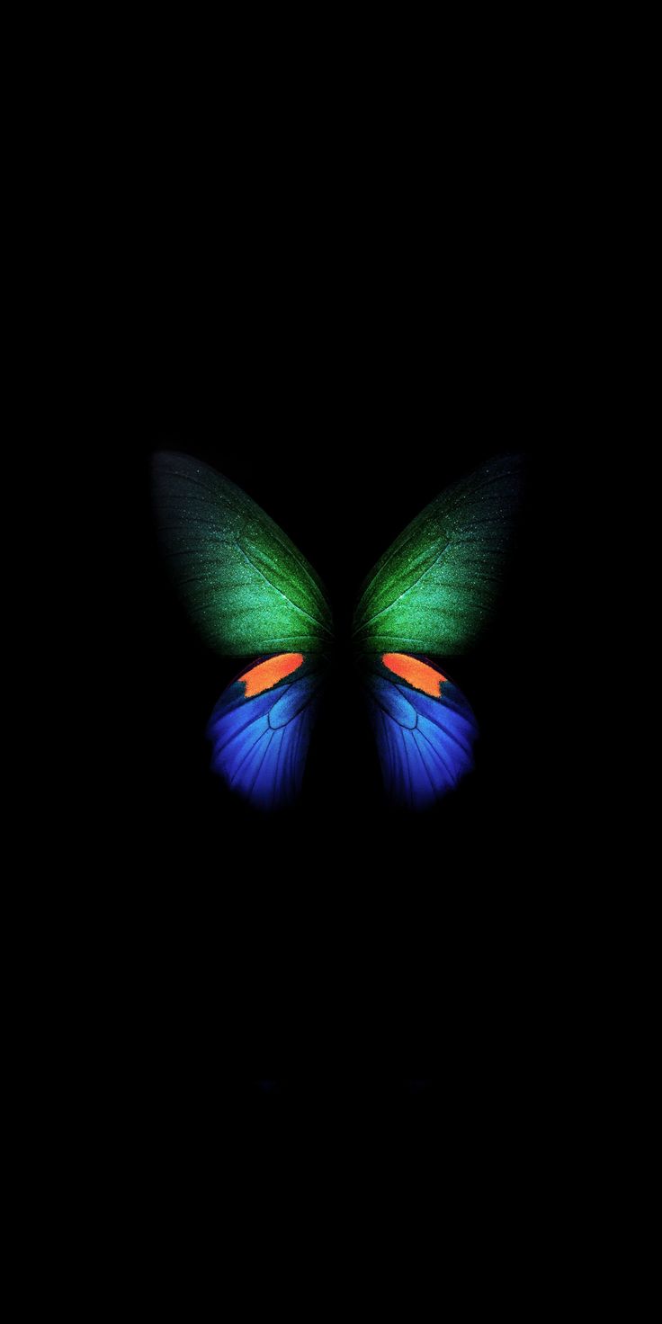 Samsung Galaxy Fold, Green Blue Butterfly, Minimal, Art, 1080x2160 Wallpaper. Blue Butterfly Wallpaper, Samsung Wallpaper, Samsung Wallpaper Android