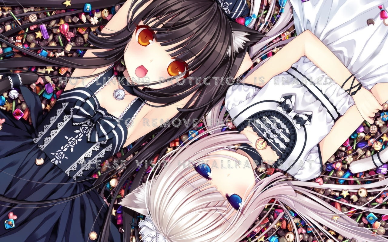 neko girls cats nice cute kawaii anime