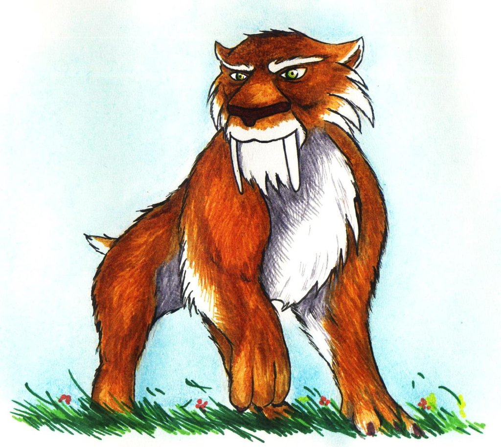 Drawing Of A Saber Tooth Tiger Sabre Tooth Tiger Coloring Age Tiger Drawing
