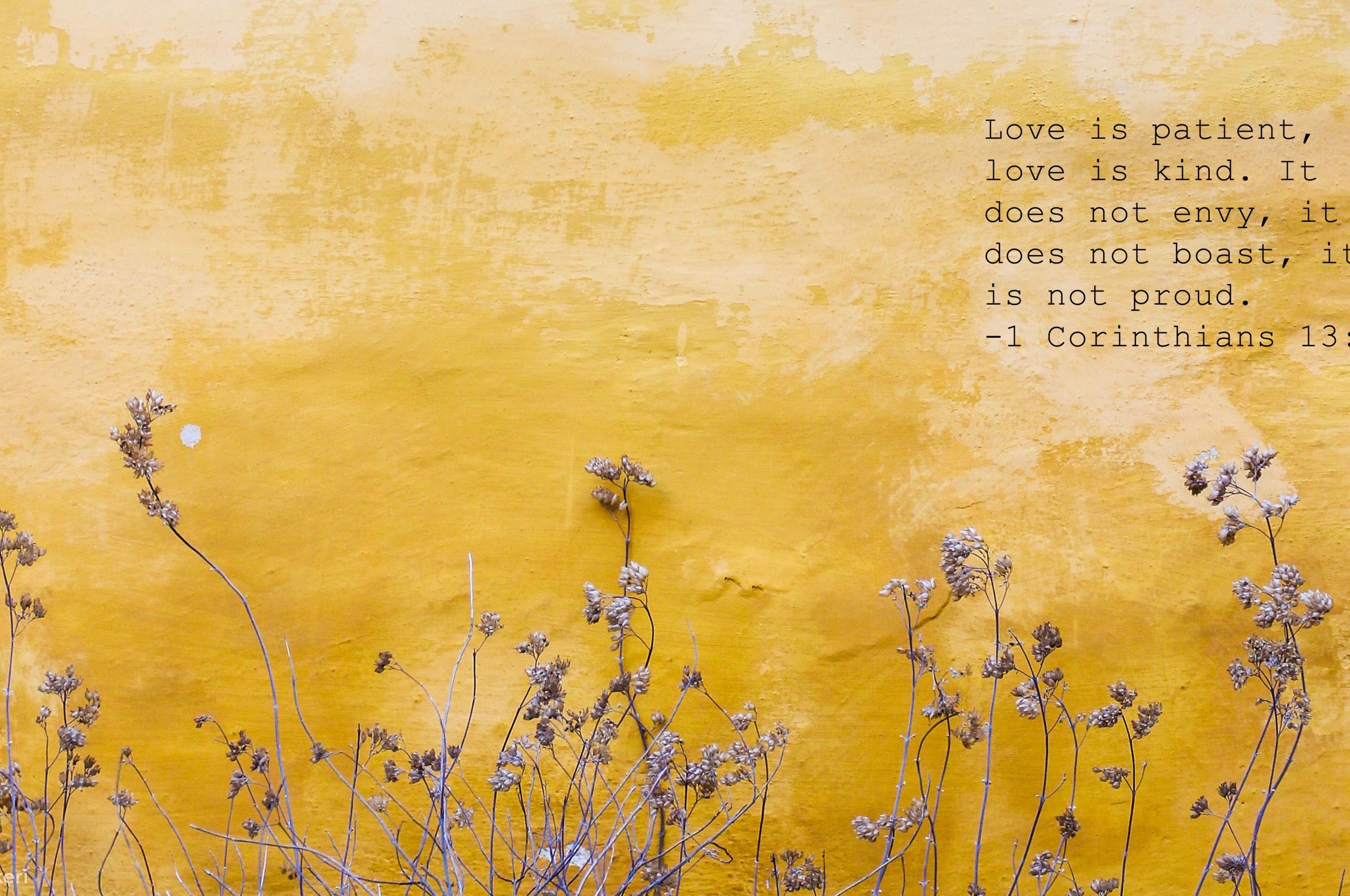 Yellow Aesthetic Wallpaper HD Free download