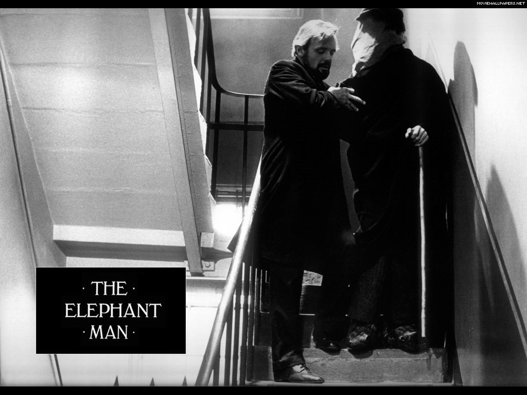 The Elephant Man Elephant Man Wallpaper
