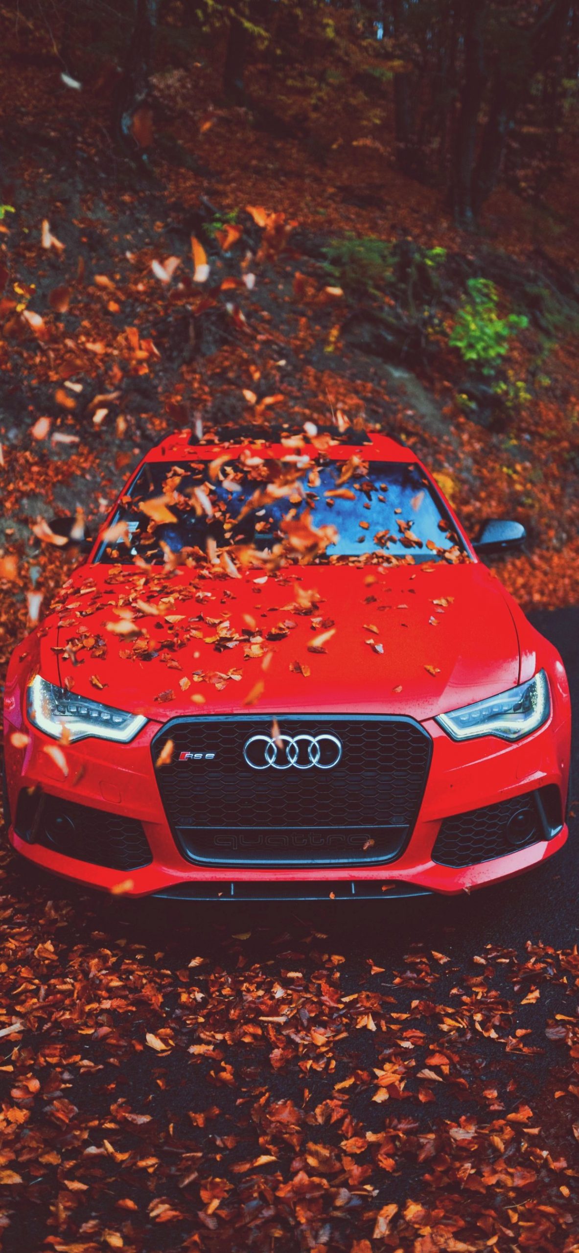 HD Red Audi Car 1242X2688 Wallpaper for Mobile Free Download