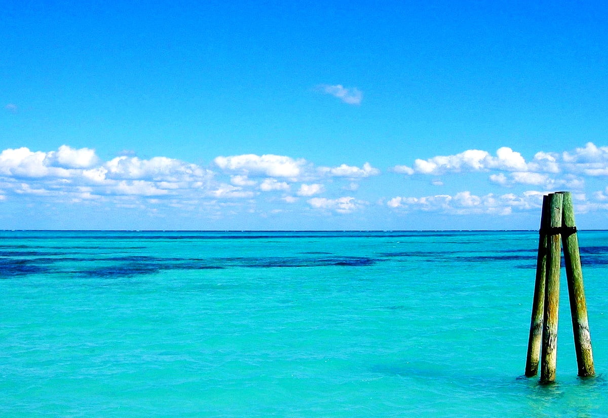 Background Sky, Sea, Ocean. Download TOP Free photo