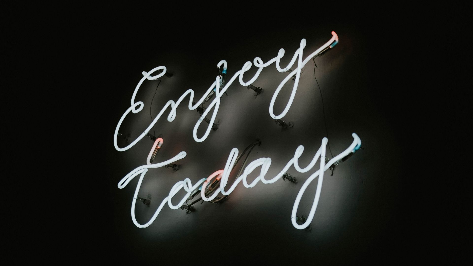 Enjoy today, inscription wallpaper, HD image, picture, background, 5629bb