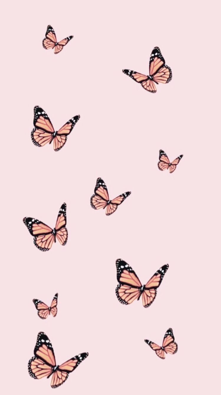 aesthetic iPhone wallpaper laptop wallpaper pc computer background boho Butterfly quote phone wallpaper desktop wallpaper download Drawing & Illustration Art & Collectibles scottironworks.com
