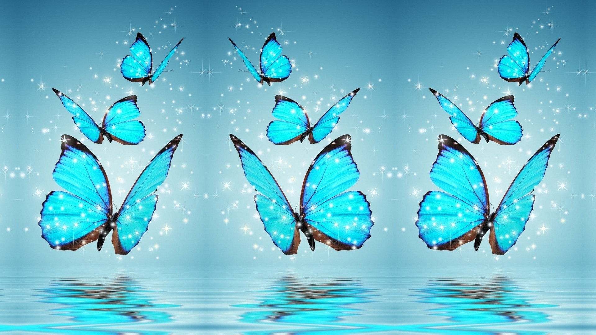 Blue Butterfly HD Wallpaper