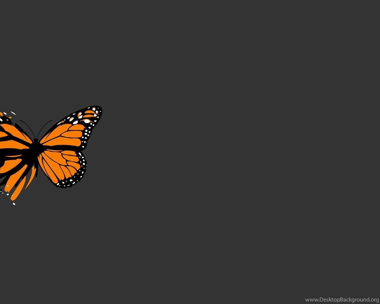 Aesthetic Butterfly Computer Wallpapers - Wallpaper Cave