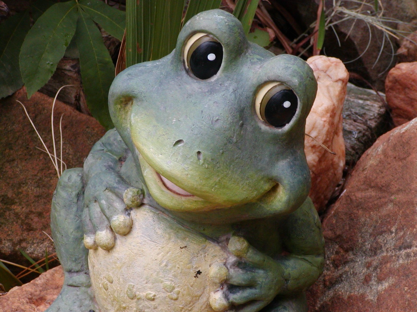 Frog garden statue Wallpaper and Background Imagex1200