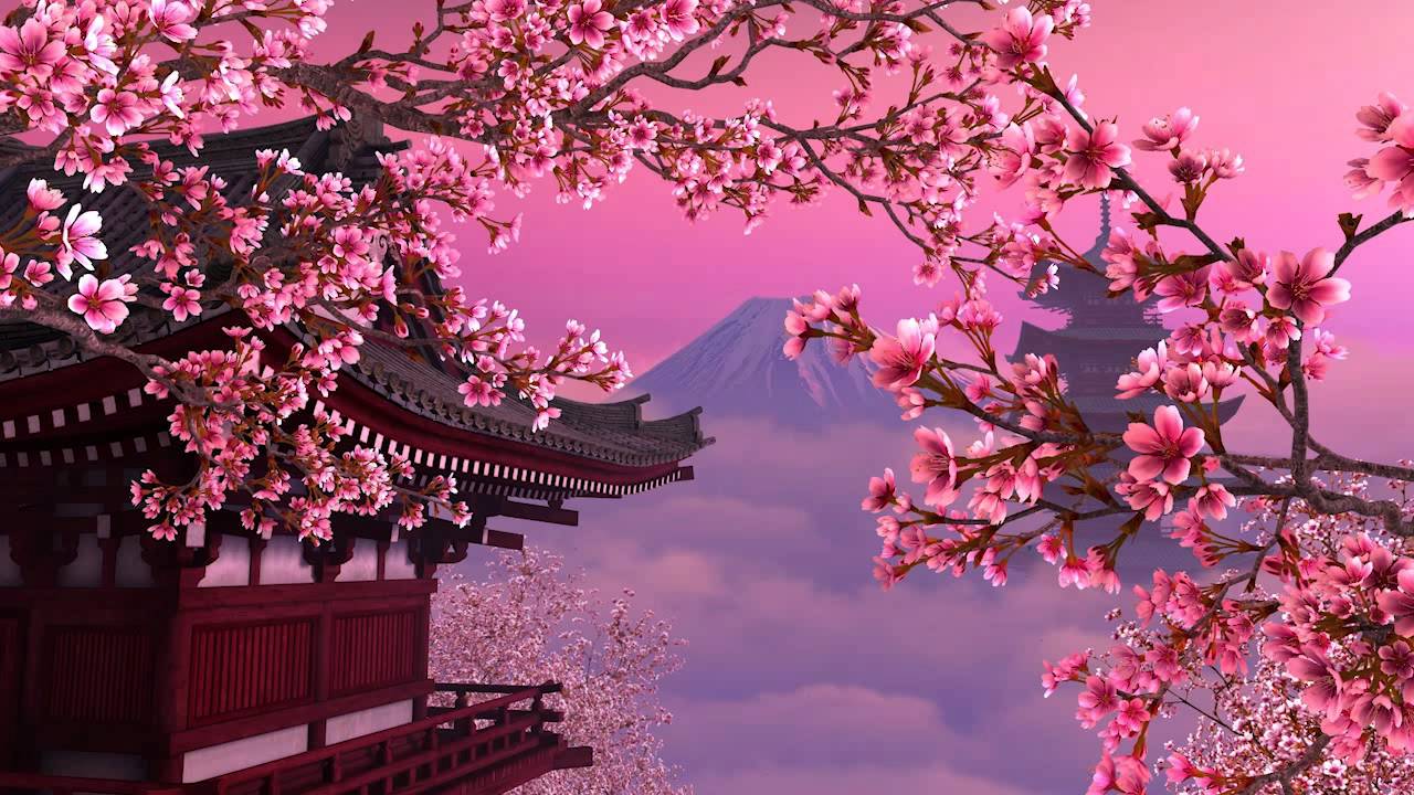 Sakura HD Wallpaper, Desktop Wallpaper Blossom Tree Background