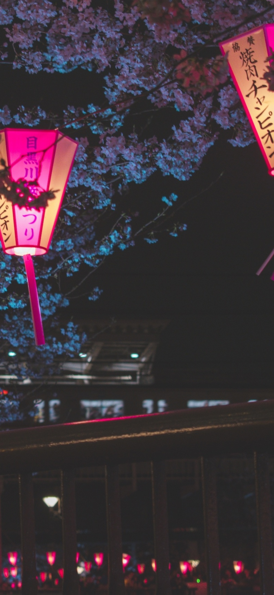 Japan Night Cherry Blossom Trees Lantern Glowing Night iPhone XS, iPhone 10, iPhone X HD 4k Wallpaper, Image, Background, Photo and Picture