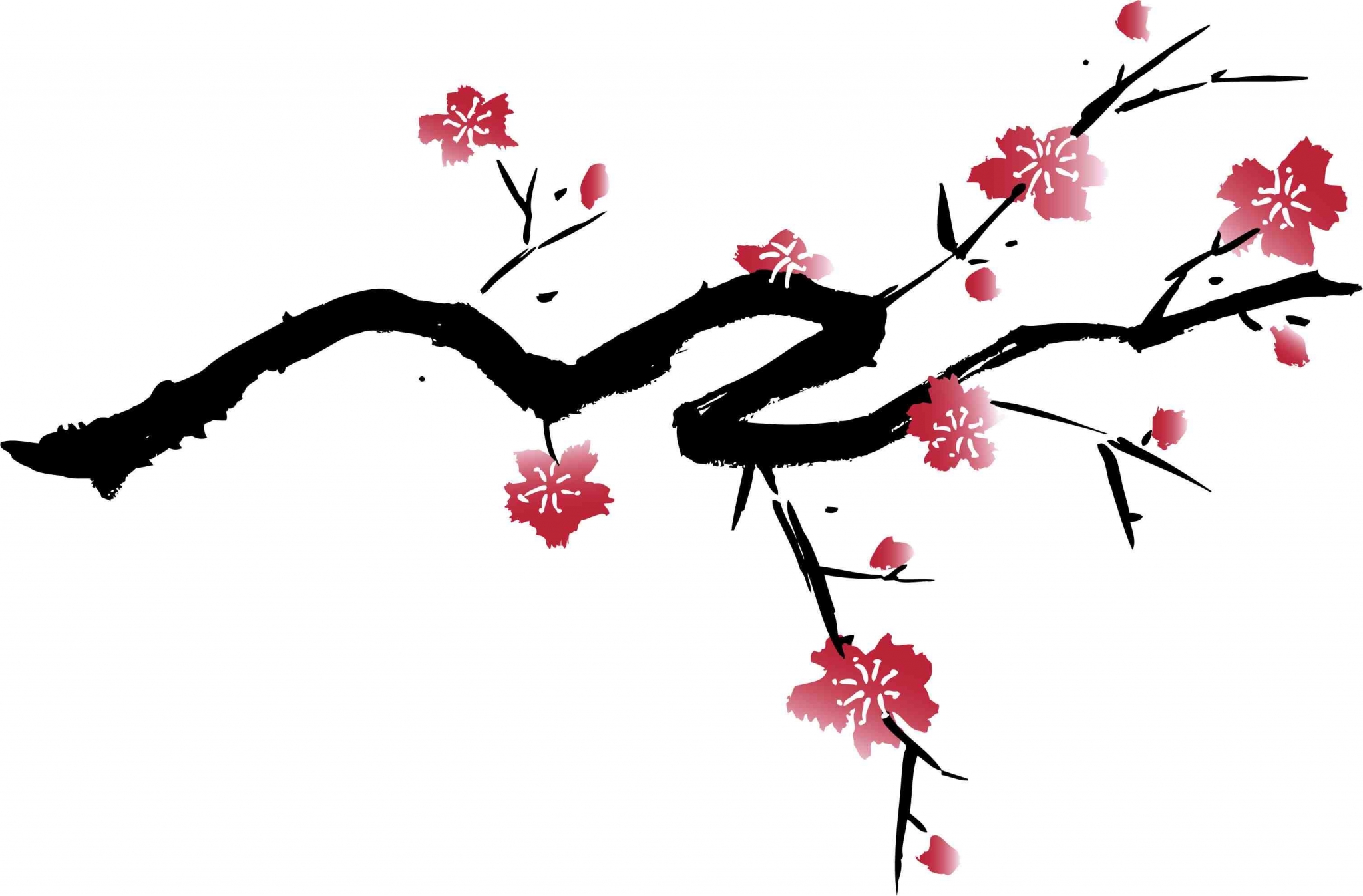 Japanese Cherry Blossom Tree Wallpapers.