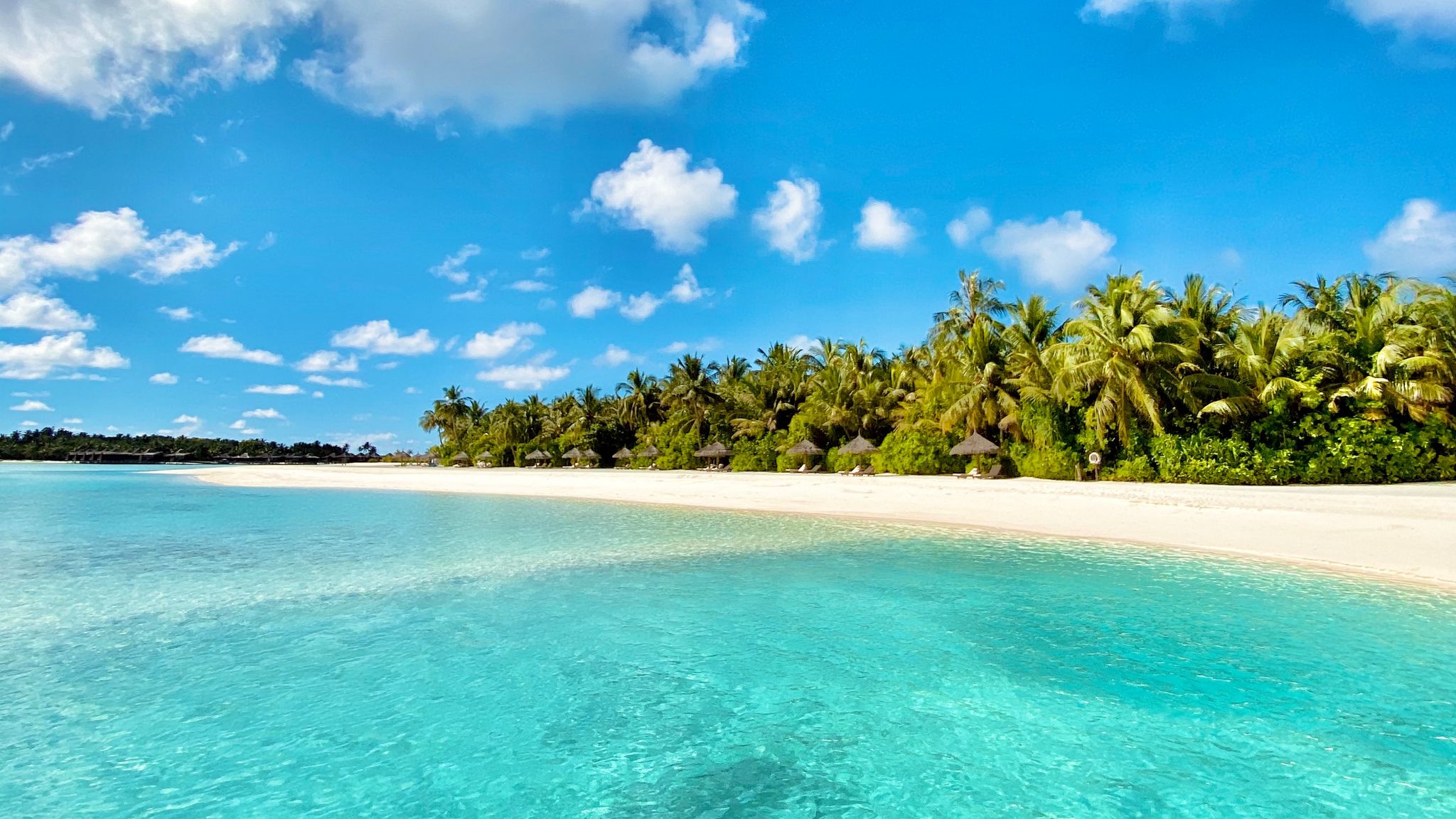 Download wallpaper 2048x1152 sea, beach, palm trees, summer, tropics ultrawide monitor HD background