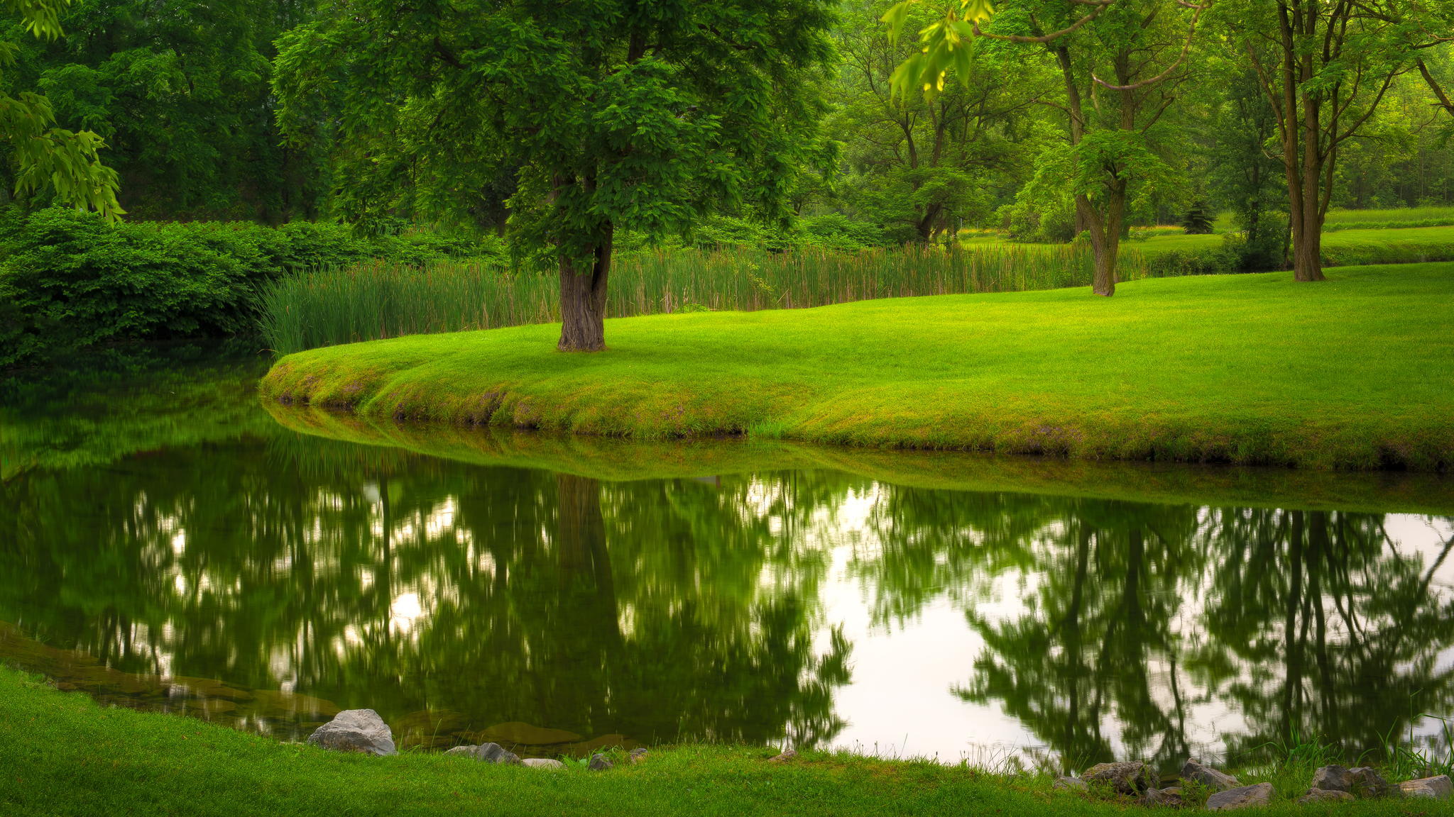 Download wallpaper summer, grass, trees, nature, Park, river, lawn, section nature in resolution 2048x1152