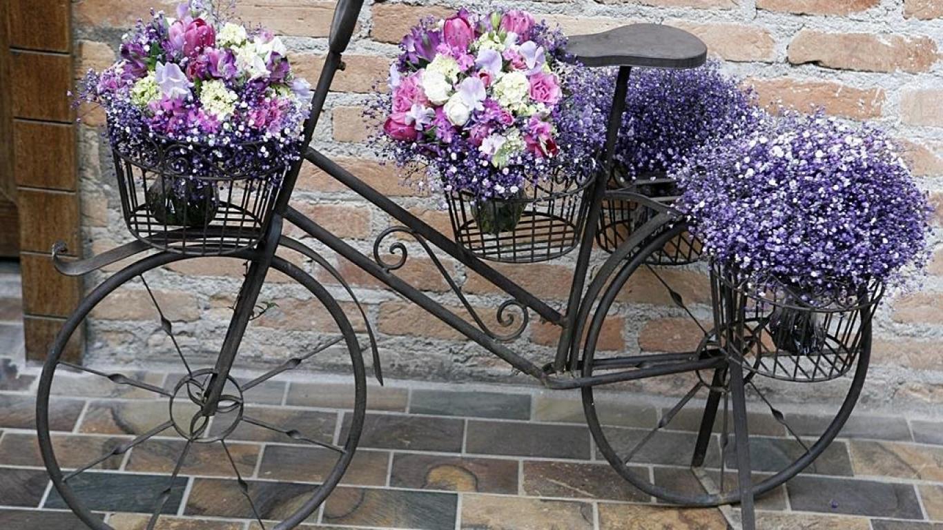 Desktop Wallpaper Bicycles and Flowers