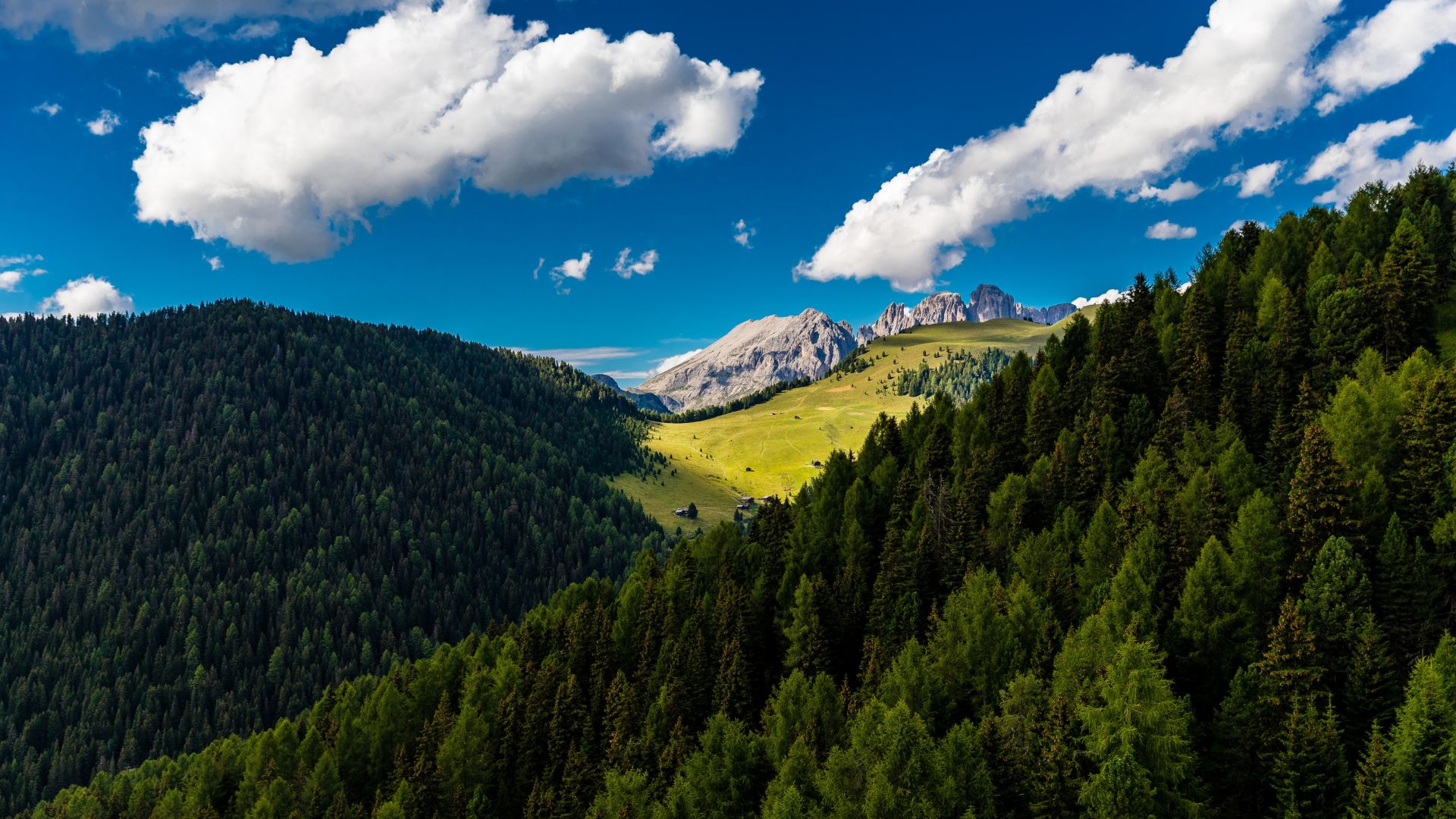 Trees, mountains, clouds, summer, sunny day wallpaper, HD image, picture, background, f43Da1