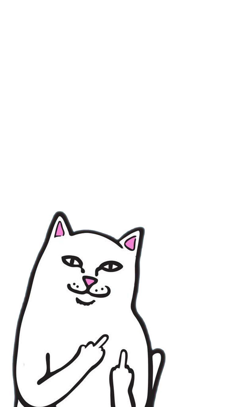Maldita Lines. Ripndip wallpaper, Hypebeast wallpaper, Cat wallpaper