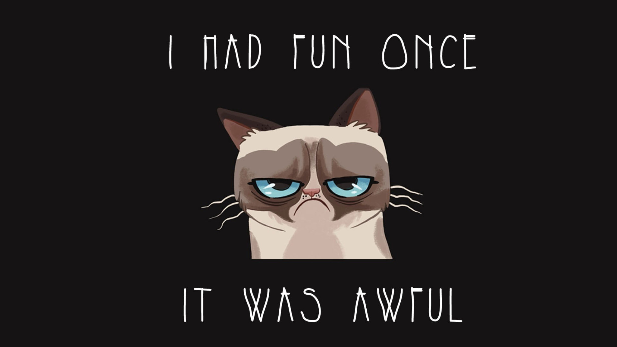 Wallpaper Beige And Black Cat With Text Overlay, Humor • Wallpaper For You
