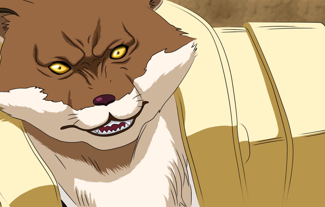 Sajin Komamura Wallpapers Wallpaper Cave