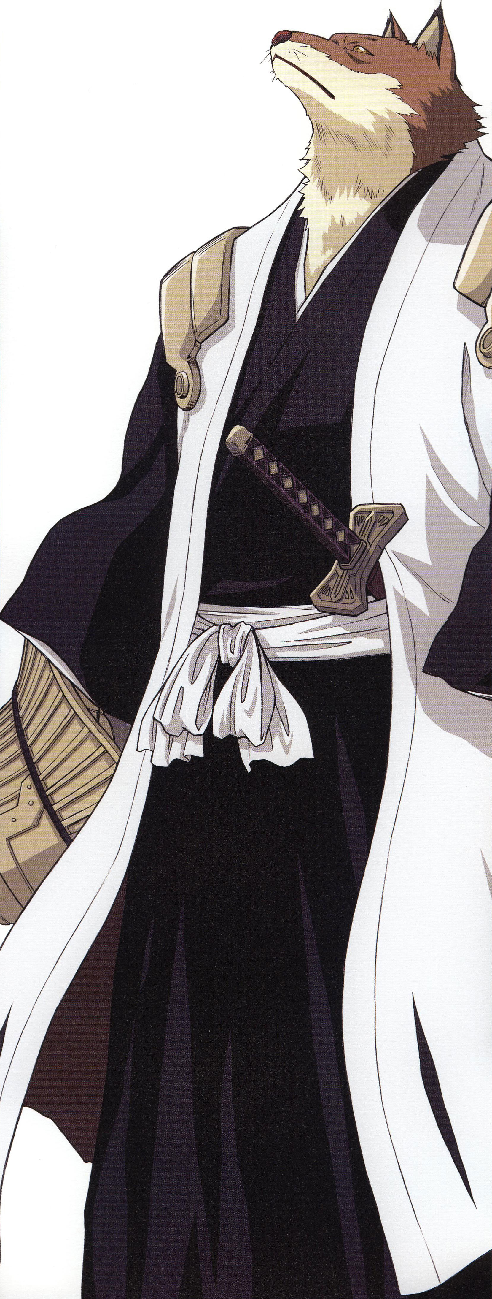 Sajin Komamura Wallpapers Wallpaper Cave