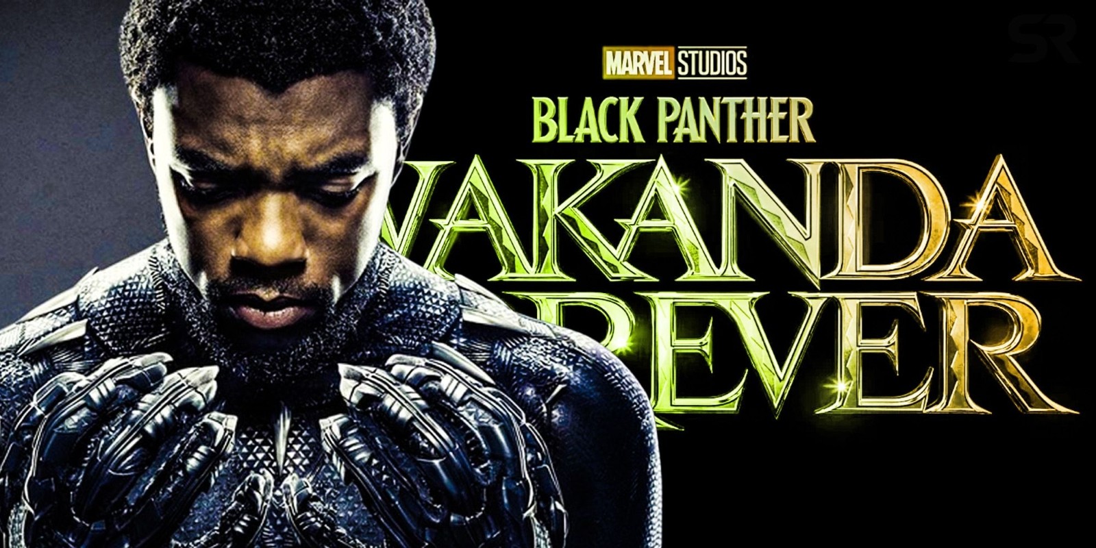 Black Panther: Wakanda Forever (2022) Release Info & Trailer