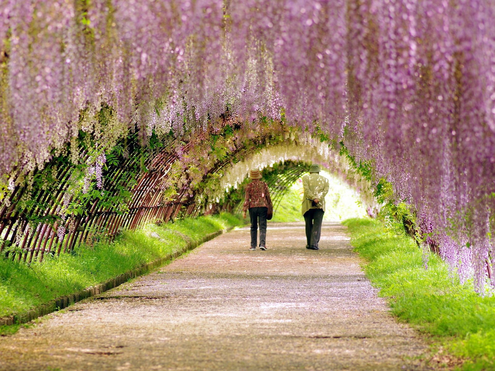 Download wallpaper 1600x1200 garden, spring, people, walk, flowering standard 4:3 HD background