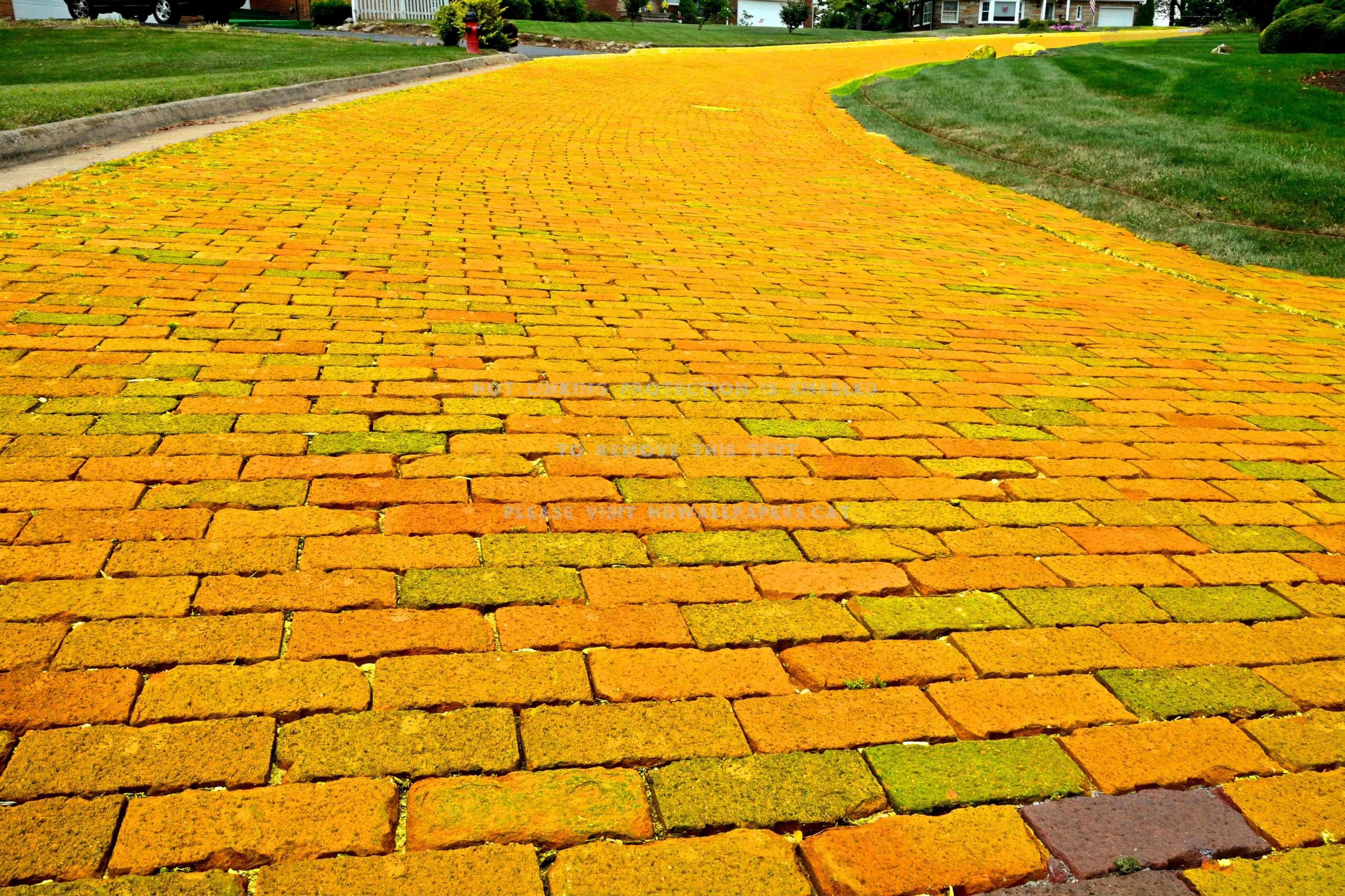 goodbye yellow brick road follow the nature