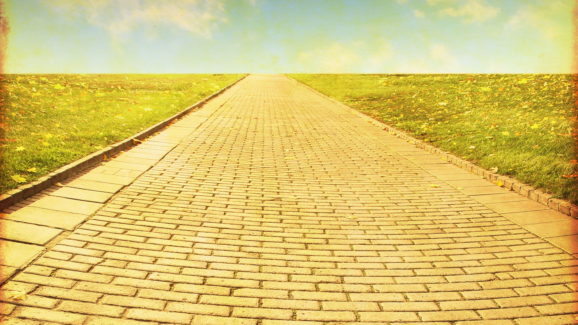 The Golden Path To Programmatic Premium. Brick path, Brick road, Yellow brick road