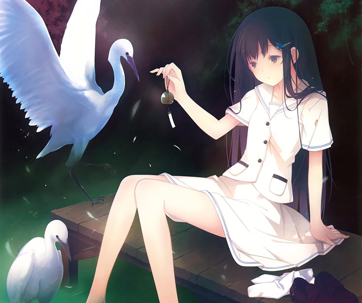Wallpaper Birds herons Anime Girls Legs