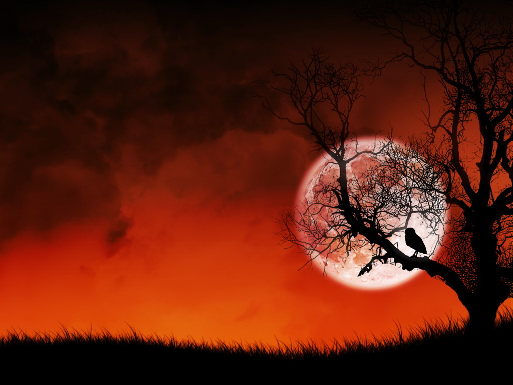 very sad HD wallpaper, sky, nature, natural landscape, red, red sky at morning