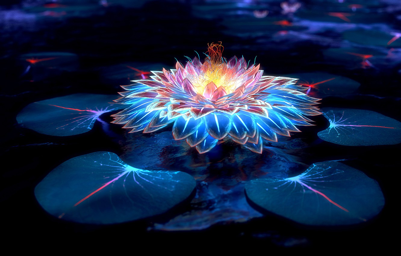 Wallpaper flower, water, light, neon image for desktop, section абстракции