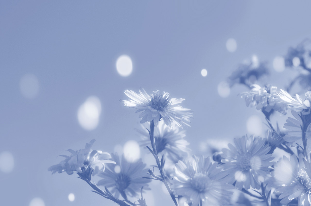 Flowers, wallpaper, blue, beautiful, illustration