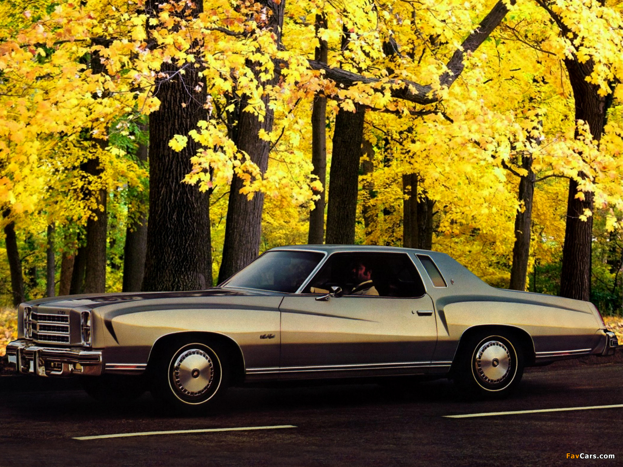 Chevrolet Monte Carlo Coupe 1976 wallpaper (1280x960)