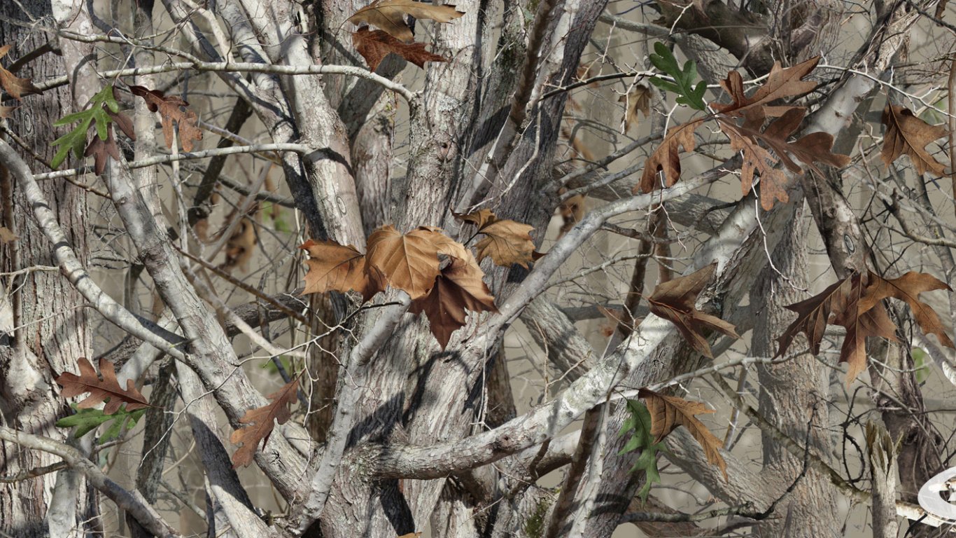 Free download Hunting Camouflage Background Our camo pattern lineup [1900x796] for your Desktop, Mobile & Tablet. Explore Camo Background. Camo iPhone Wallpaper, Realtree Camo Wallpaper, Camo Wallpaper