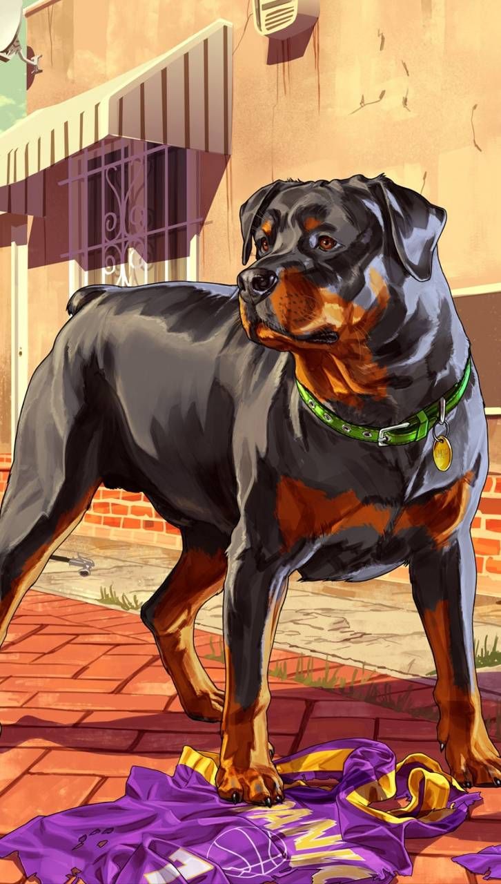 iFruit App - Chop The Dog : GRAND THEFT AUTO 5 - iPhone 