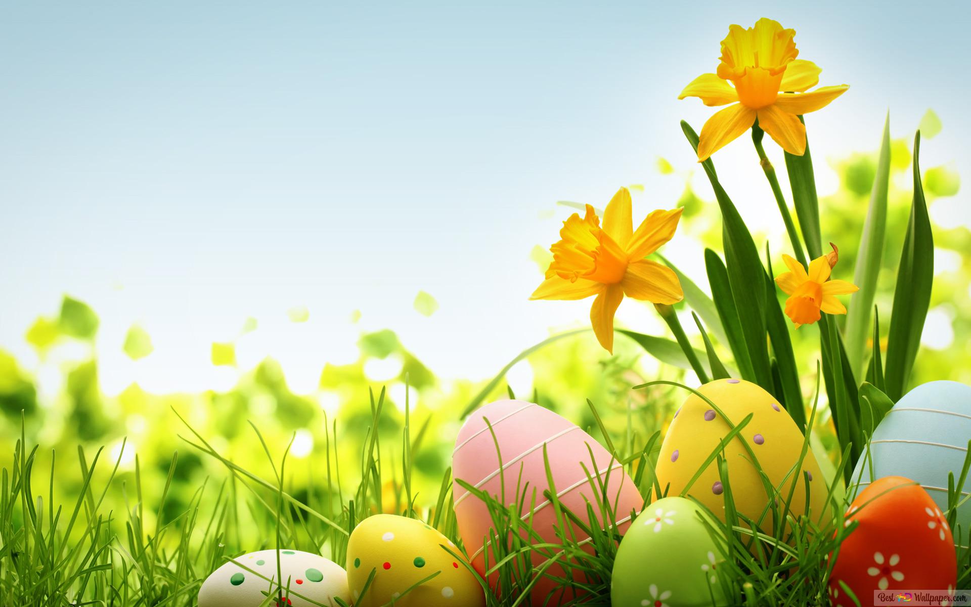 Colorful easter eggs HD wallpaper download