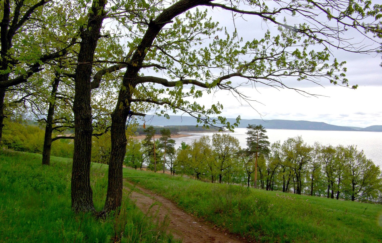 Wallpaper trees, river, shore, Volga image for desktop, section природа