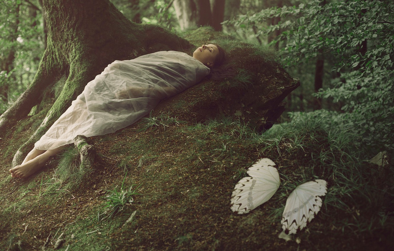 Wallpaper forest, girl, fantasy, wings, cocoon image for desktop, section ситуации